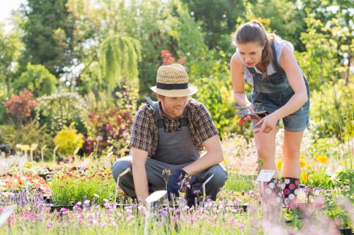 Soft landscaping services including lawn installation and border renovation in Mottingham