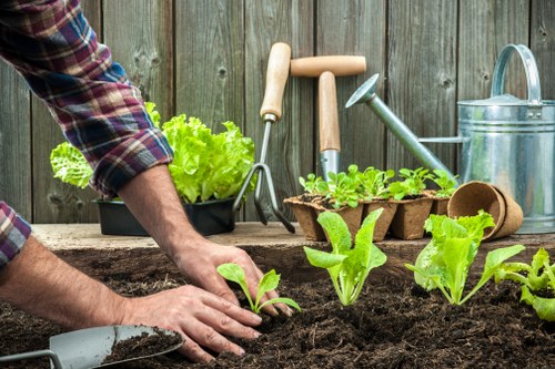 Person reviewing a landscaping complaint with garden plans
