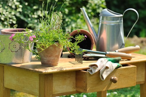 Waste removal and site preparation during landscaping work