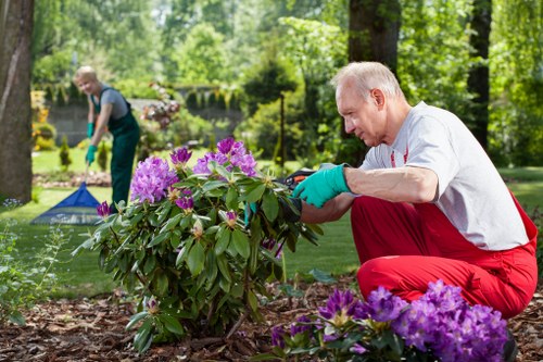 Regular inspection and review of landscaping health and safety procedures