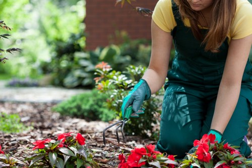 Example Mottingham property types and landscaping job sizes