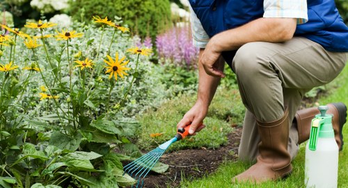 Team using safe manual handling during landscaping work