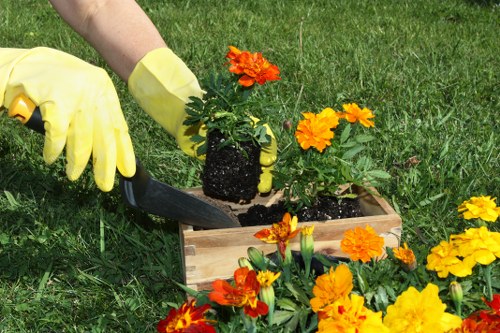 Garden landscaping project materials and service planning