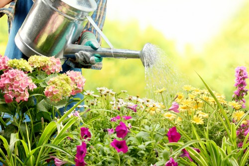 Outdoor landscape design in Mottingham featuring trees, shrubs, and seating