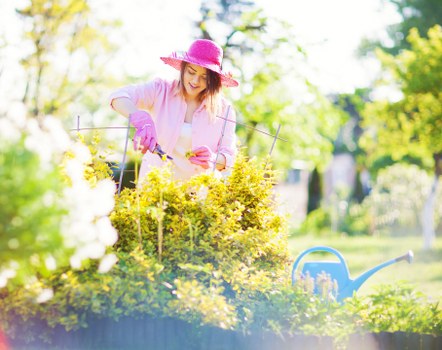 Modern garden landscaping features in Mottingham
