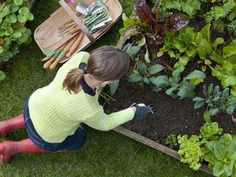 Supervisor checking safety measures during landscaping operations