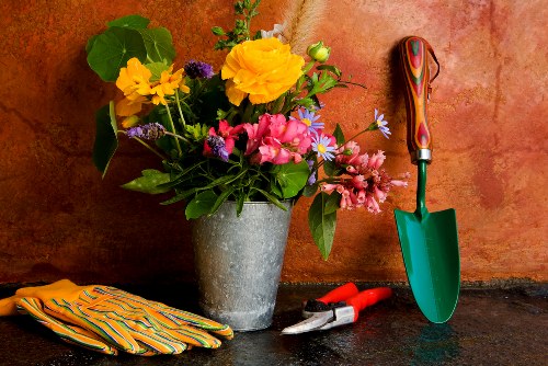Professional landscaping safety measures and insured garden work