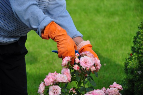 Illustration of making an accessibility request for Mottingham landscaping content
