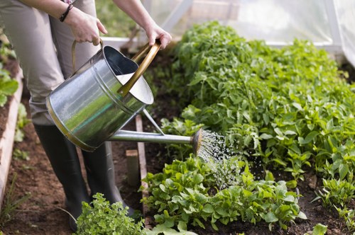 Residential landscaping project details in Mottingham